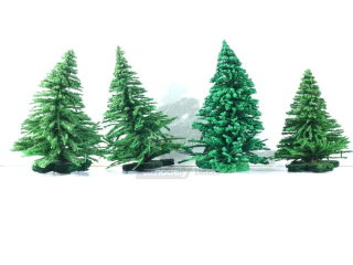 Vero - 4 ks stromků - Jehličnany