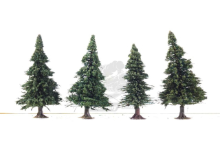 Vero - 4 ks stromků - Jehličnany