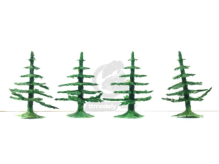 Vero - 4 ks stromků - Jehličnany