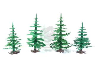 Vero - 4 ks stromků - Jehličnany