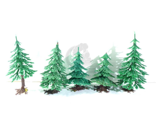 Vero - 5 ks stromků - Jehličnany