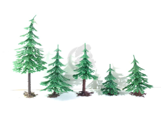 Vero - 4 ks stromků - Jehličnany