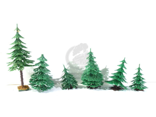 Vero - 6 ks stromků - Jehličnany