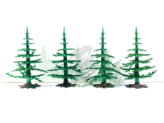 Vero - 4 ks stromků - Jehličnany