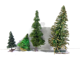 Vero - 4 ks stromků - Jehličnany