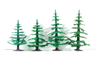 Vero - 4 ks stromků - Jehličnany
